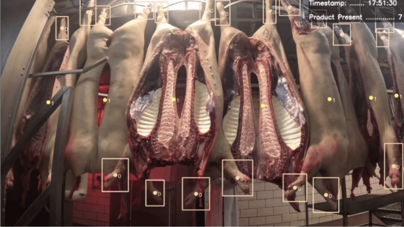 Vision AI monitoring food portioning to reduce waste